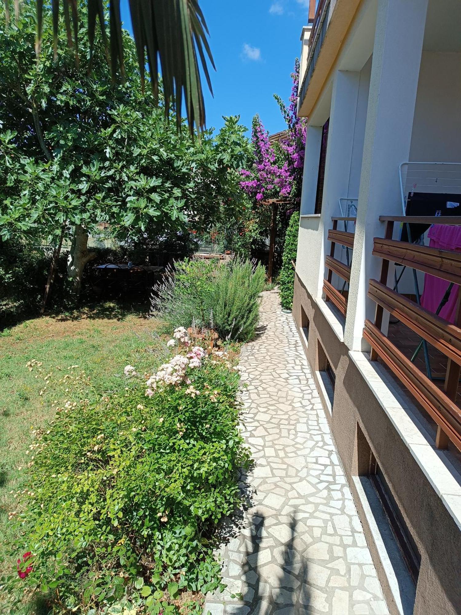 Apartmani Sole Medulin 2023 Exterior foto