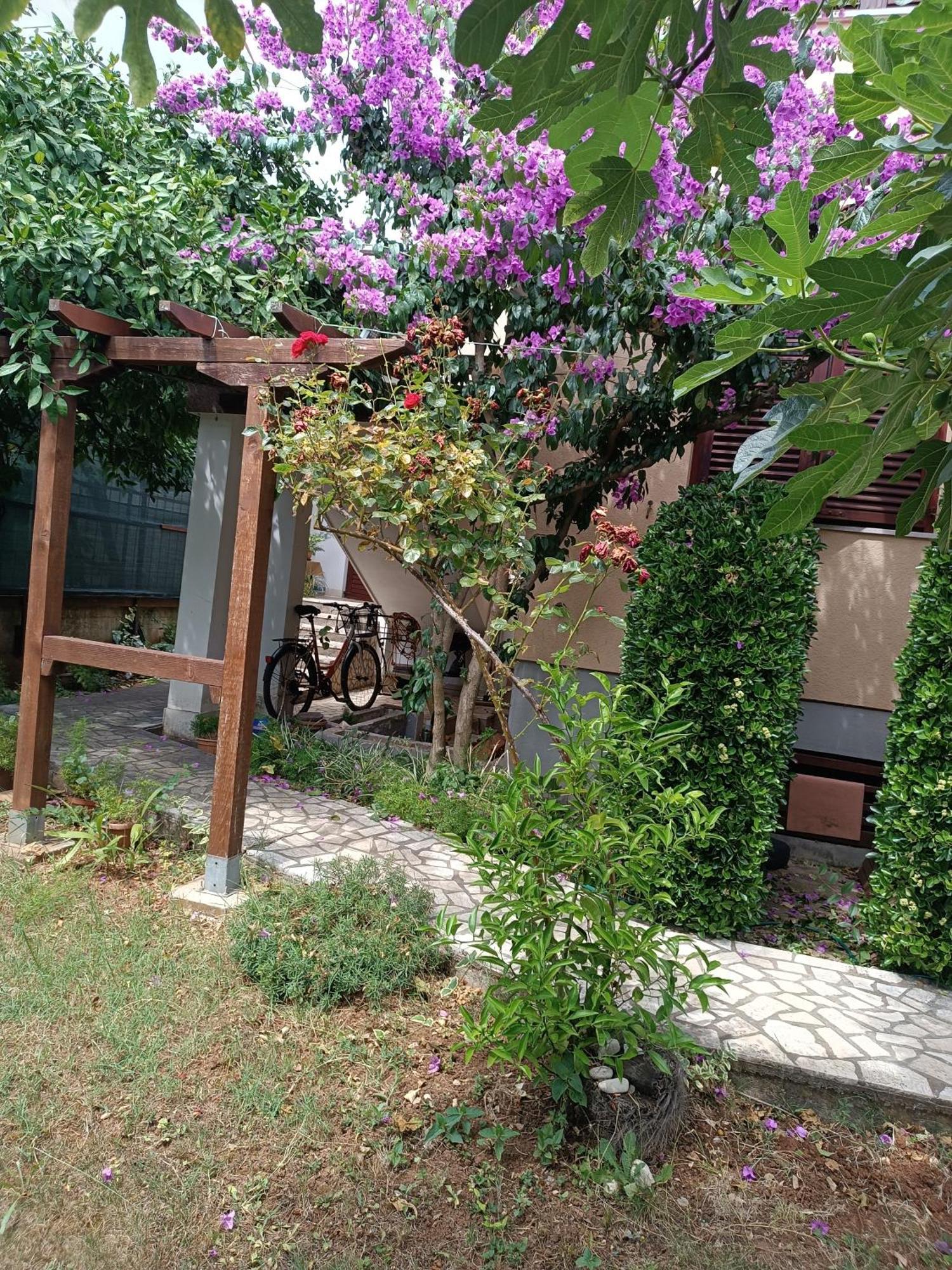 Apartmani Sole Medulin 2023 Exterior foto